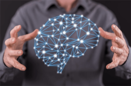 如何讓AI擁有人類常識(shí) 基礎(chǔ)軟件的開發(fā)路徑