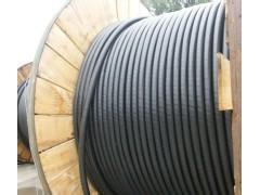 VV22輕鎧裝電力電纜在電力系統(tǒng)中的應(yīng)用與漳州市場概述